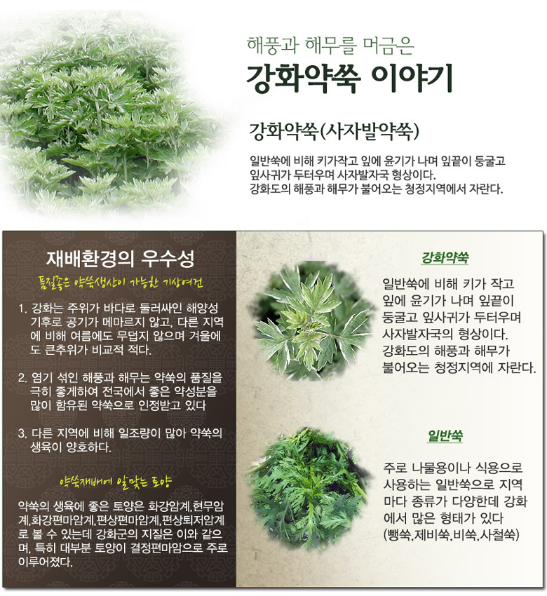 (한셀)강화약쑥 사자발쑥 300g / 박스상품상세_동원몰